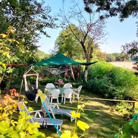 Вілла Naturellement Loire ! Saint-Martin-de-la-Place Екстер'єр фото