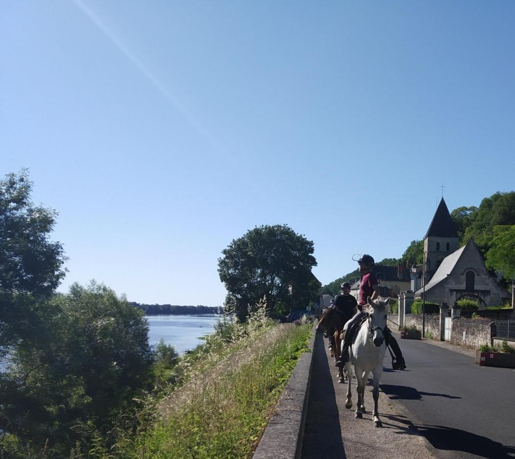 Вілла Naturellement Loire ! Saint-Martin-de-la-Place Екстер'єр фото